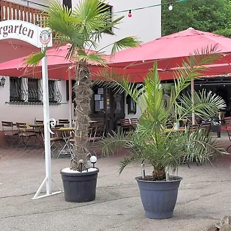 Hotell Alemannenhof Engel