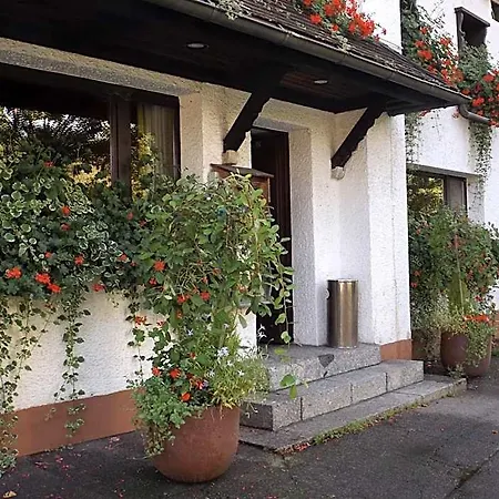 Alemannenhof Engel Hotell