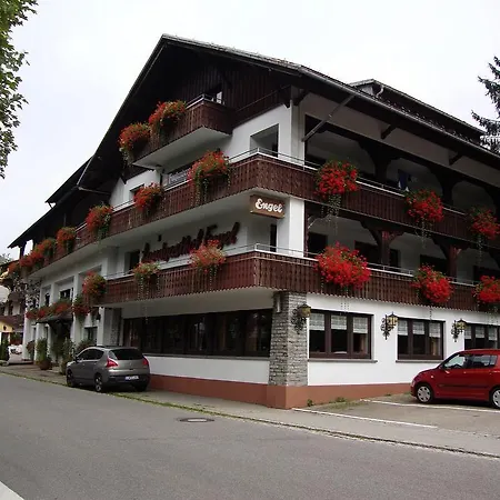 Hotel Alemannenhof Engel 3*