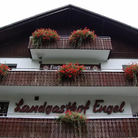 Alemannenhof Engel Hotel 3*