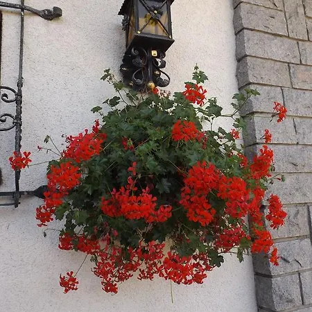 Alemannenhof Engel 3* Rickenbach (Baden-Wurttemberg)