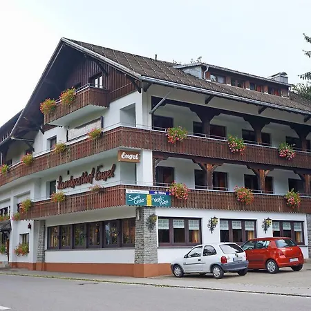 Alemannenhof Engel Hotel 3*