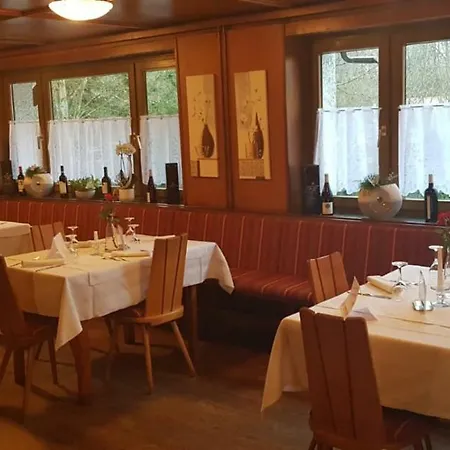 Hotel Alemannenhof Engel 3*