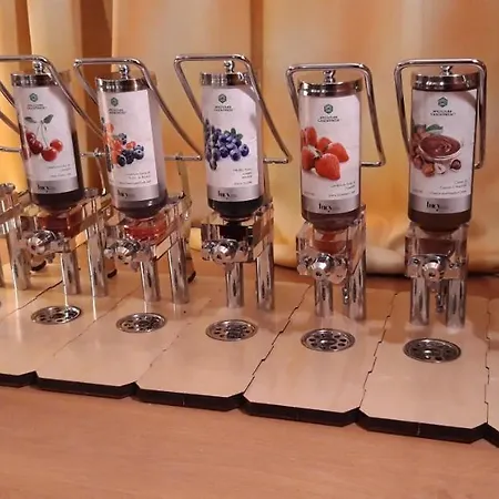 Alemannenhof Engel Hotel