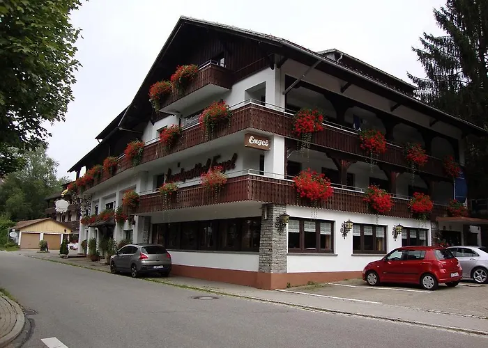 Hotell Alemannenhof Engel 3*
