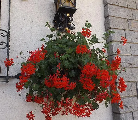 Alemannenhof Engel 3* Rickenbach (Baden-Wurttemberg)