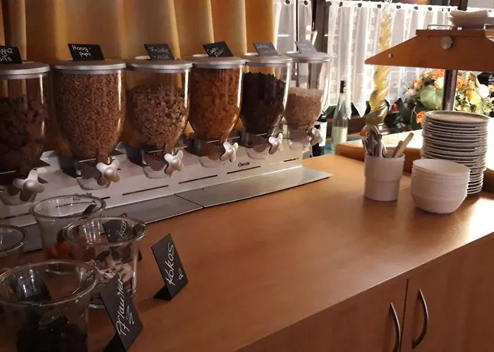 Hotell Alemannenhof Engel 3*